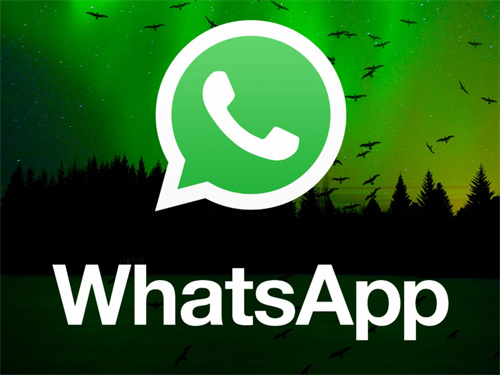 whatsapp安卓手机下载2020最新版本,whatsapp安卓手机版下载v22020624免费下载