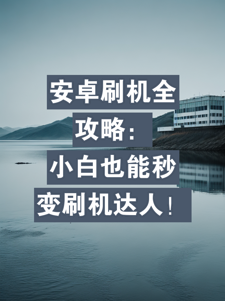 安卓手机刷机做服务器,用手机刷机手机安卓系统