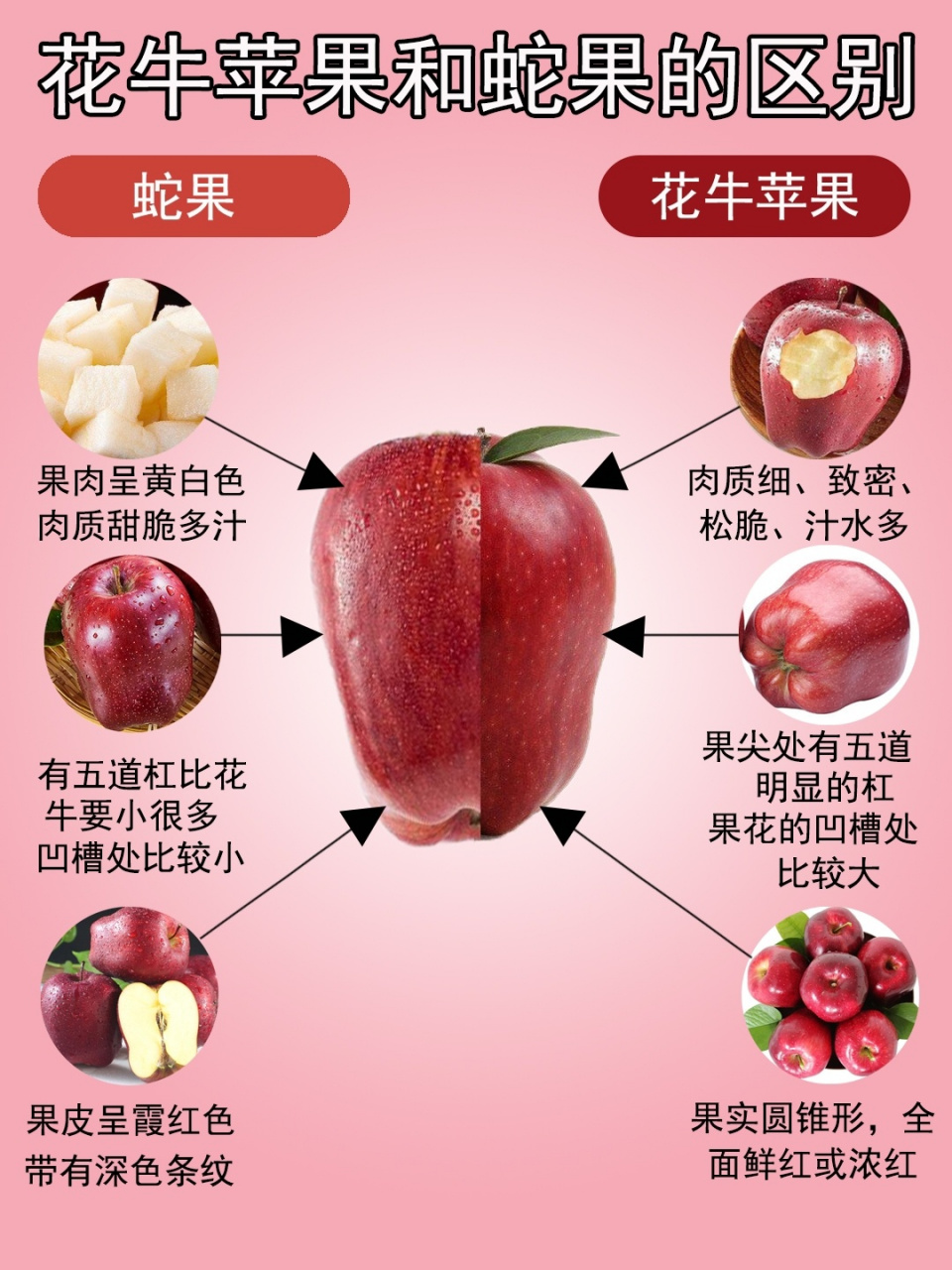 苹果的营养价值及功效,煮苹果的营养价值及功效与作用