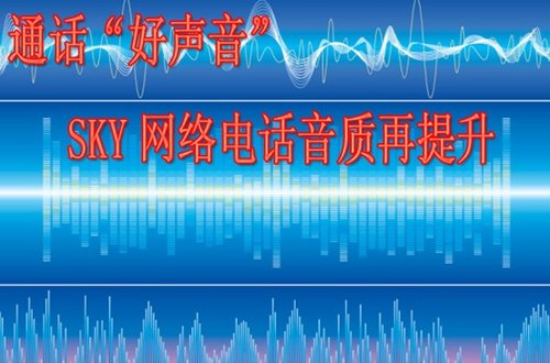 sky网络电话免费版来电显示什么号码的简单介绍