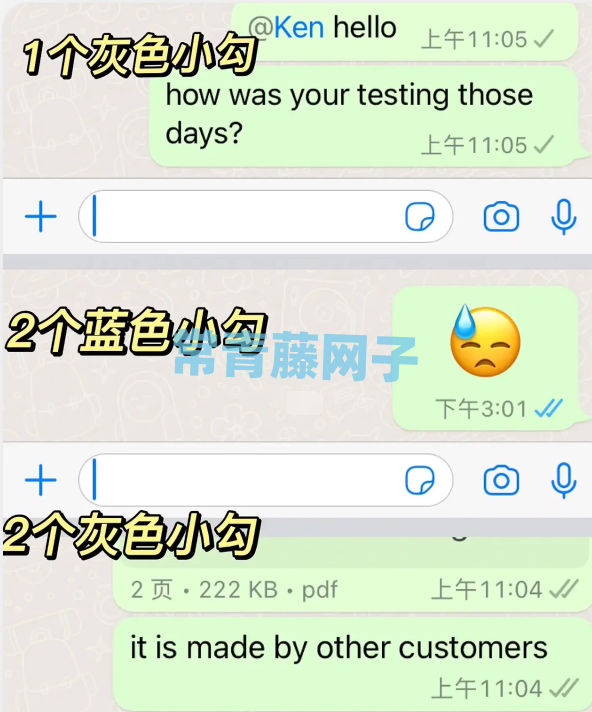 whatsapp发不了信息,whatsapp消息发不出去怎么办