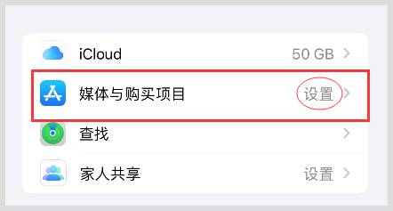 skype苹果版怎么登陆,苹果手机怎么登陆skype for business