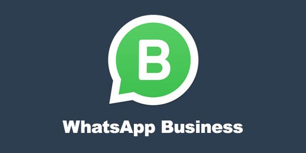 whatsapp安卓下载安装,whatsapp安卓下载安装2024最新版本