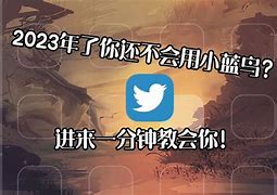 蓝鸟Birdy怎么下载,小蓝鸟twitter官网入口