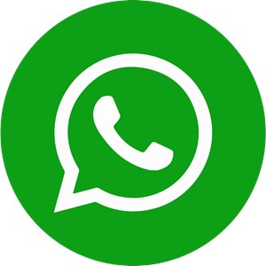 whatsapp网址,whatsappcom