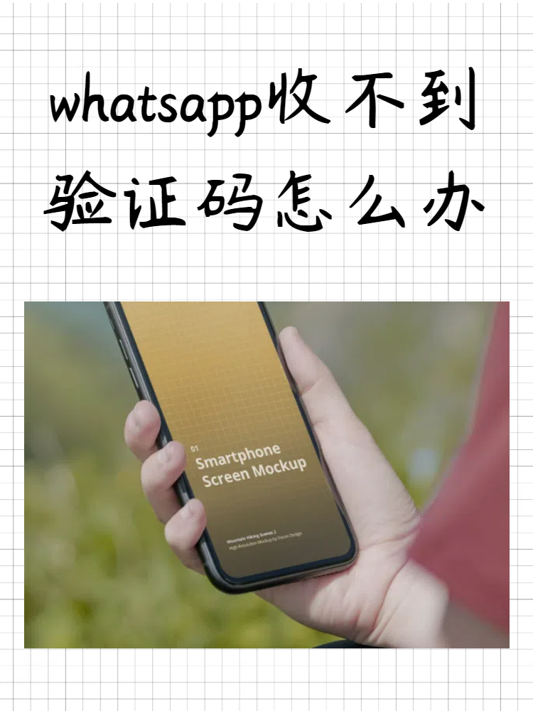 whatsapp账号注册手机收不到验证码,whatsapp 号码收不到验证码怎么登录