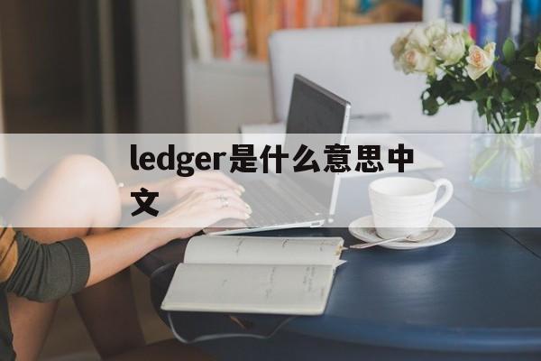 ledger是什么意思中文,general ledger是什么意思