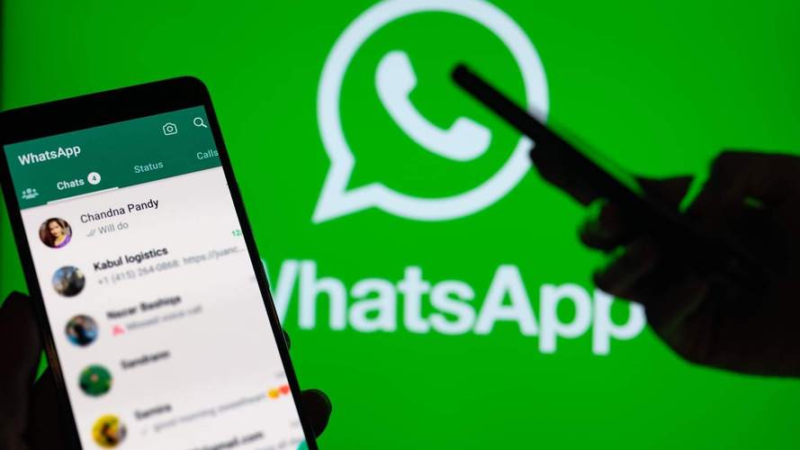 全面掌握WhatsApp免费版：下载、安装及使用指南