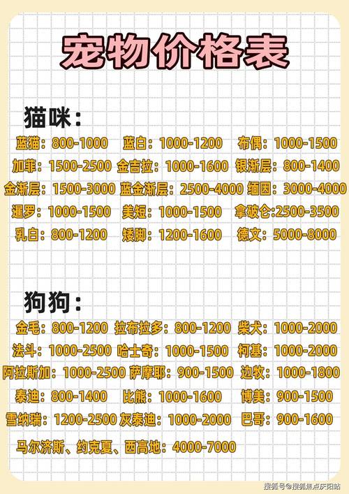 最新狗狗币价格预测,最新狗狗币行情价格表