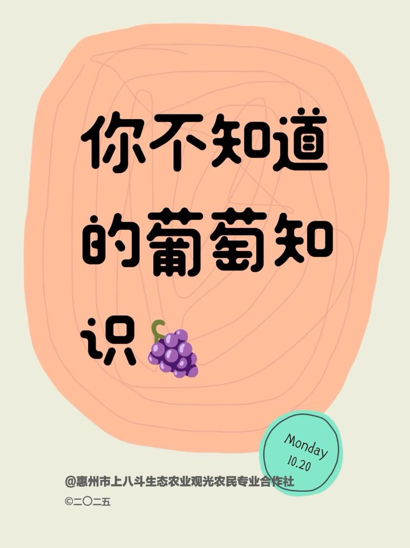 葡萄皮上白霜并不是农药残留,葡萄皮上白霜并不是农药残留的原因