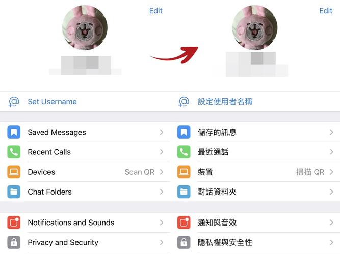 telegraph社交软件下载,telegraph安卓中文版下载