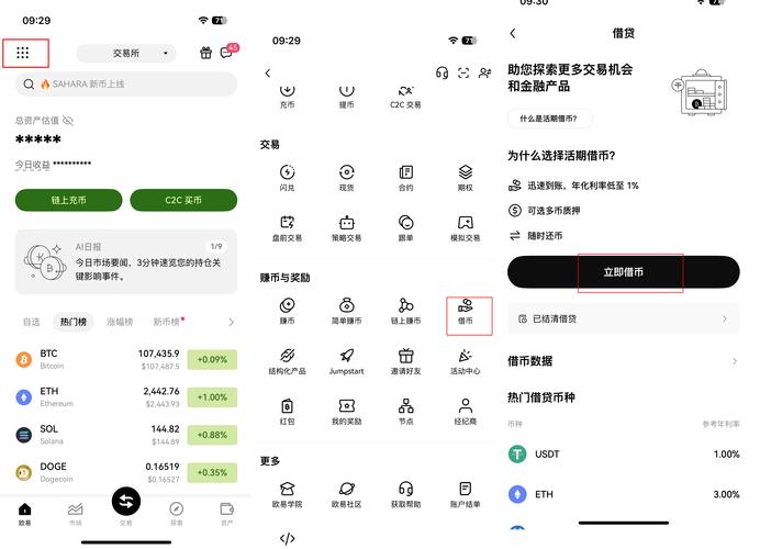 www.okpay.cn的简单介绍