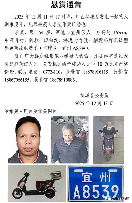 广西柳州两夫妻被杀案,广西柳州两夫妻被杀案真相