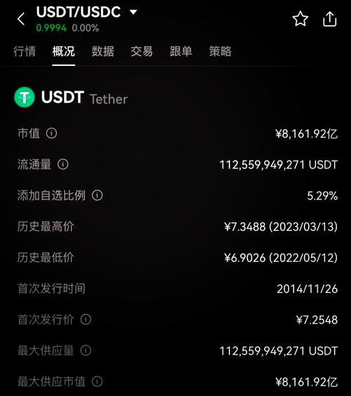 USDT钱包地址,区块链地址查询入口