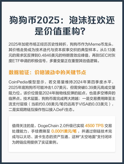 狗狗币2025预言,狗狗币未来2025价格