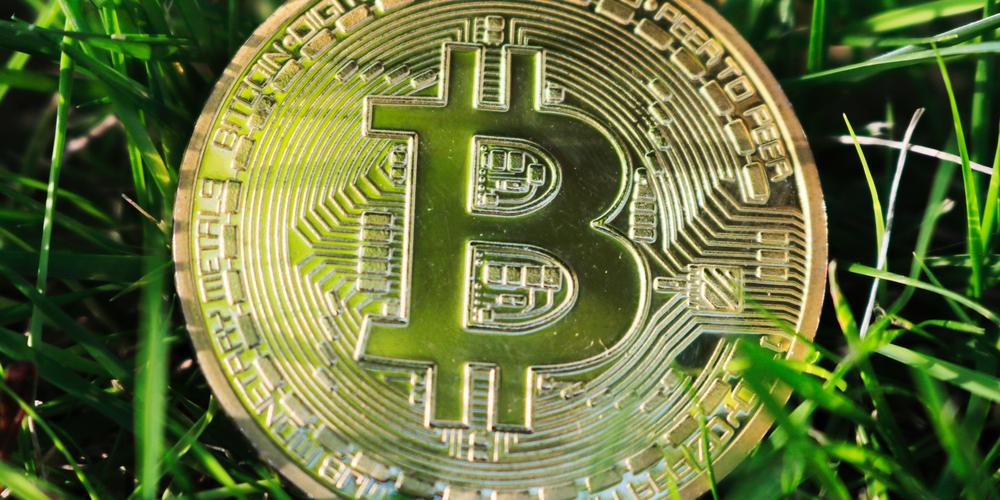 比特币是什么样子,比特币是什么样子图片高清
