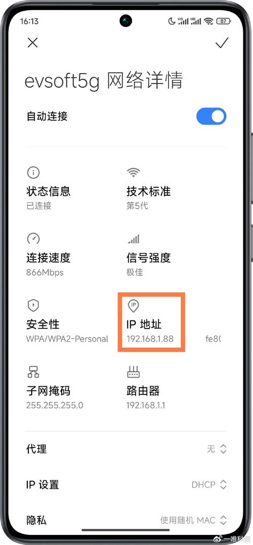 关于USDT地址查询入口IP的信息