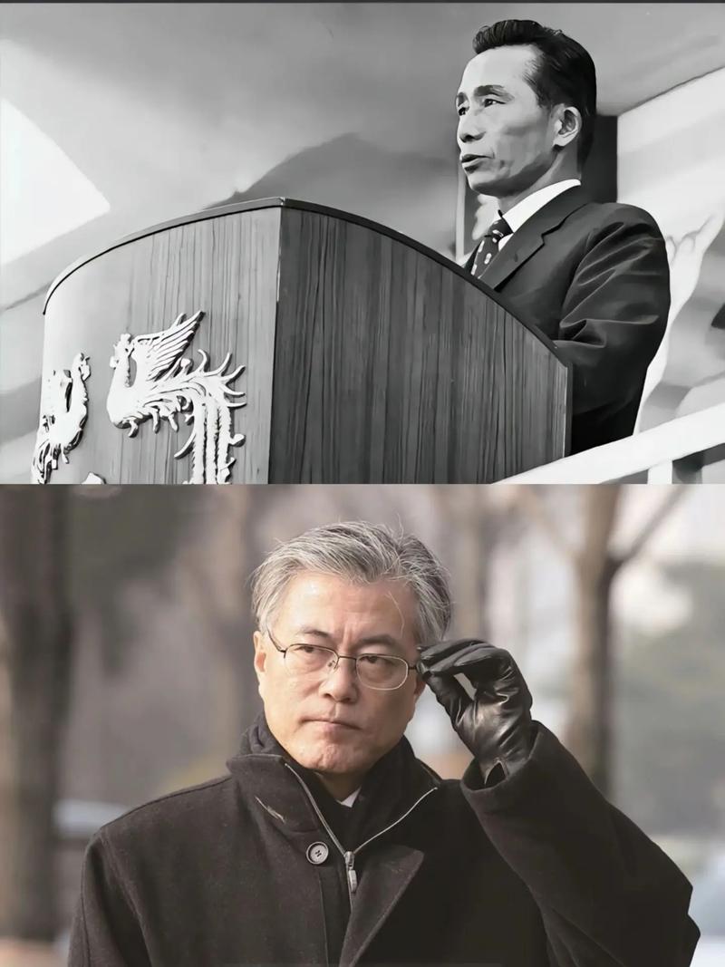 包含哈维尔索拉纳朴正熙的词条