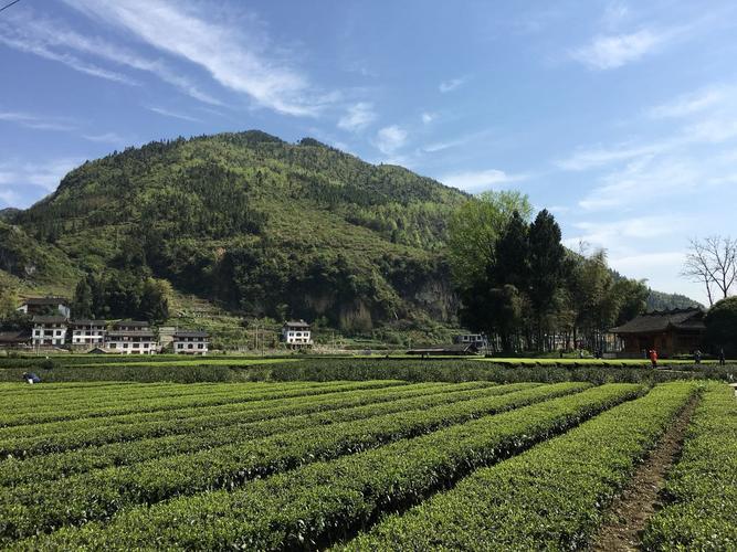 湖北恩施州宣恩县,湖北恩施州宣恩县天气预报