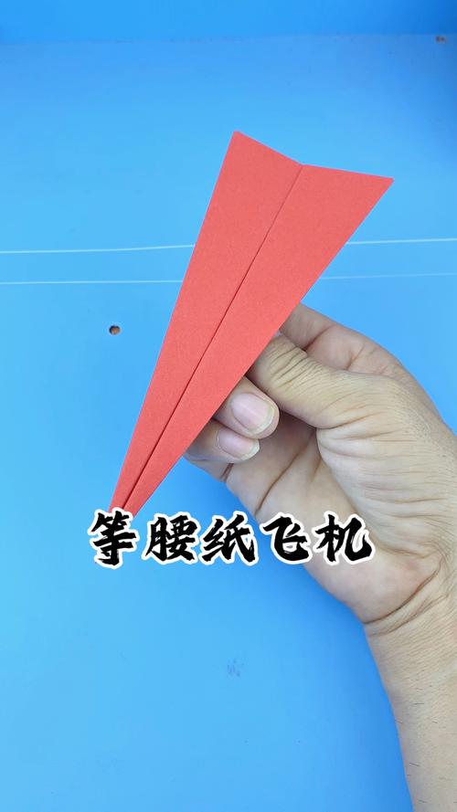 10个最帅的纸飞机简单又漂亮,10个最帅的纸飞机简单又漂亮怎么做