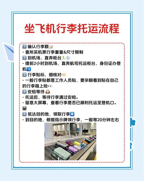 包含飞机中文汉化教程视频的词条