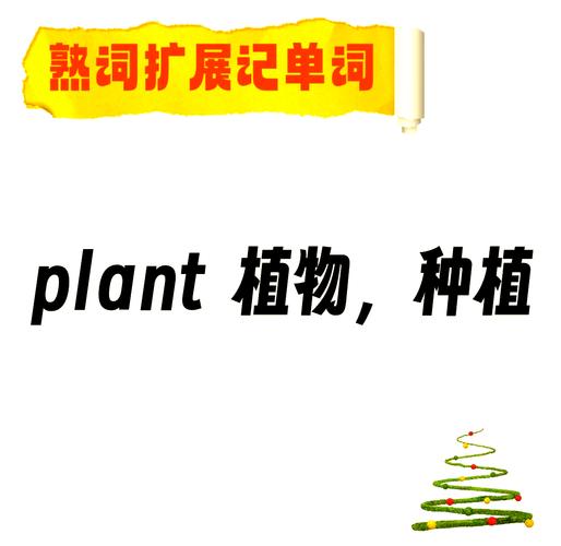 phldeon怎么读,phloembundles怎么读