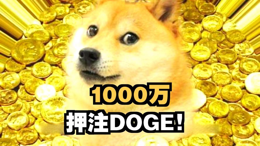 狗狗币今日实情,狗狗打完八连不欢实