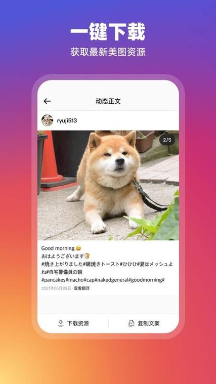instagram官方正版,Instagram官方正版应用