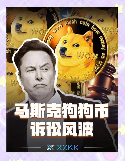 狗狗币马斯克,马斯克提醒狗狗币有风险
