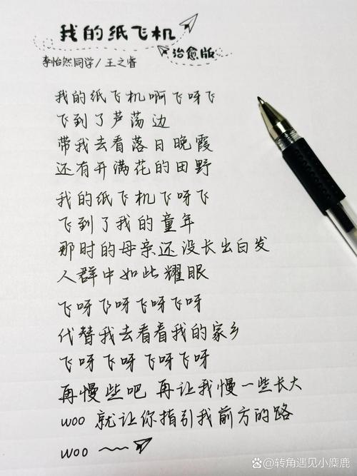 终极纸飞机飞回来飞过去,纸飞机终于飞回我手里是什么歌