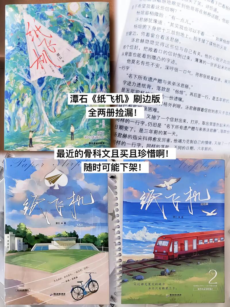 纸飞机小说讲的是什么,纸飞机小说讲的是什么他们是兄弟吗